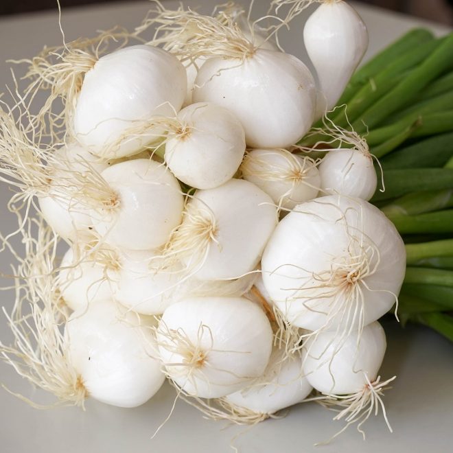 Maraicher local Guérande Légumes fruits botte oignon nouveau