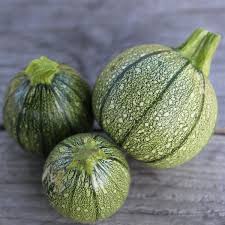 Courgette ronde