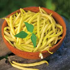 Haricot Beurre