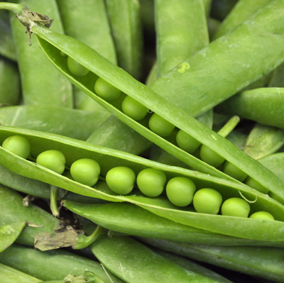 Maraicher local Guérande Légumes fruits petits pois