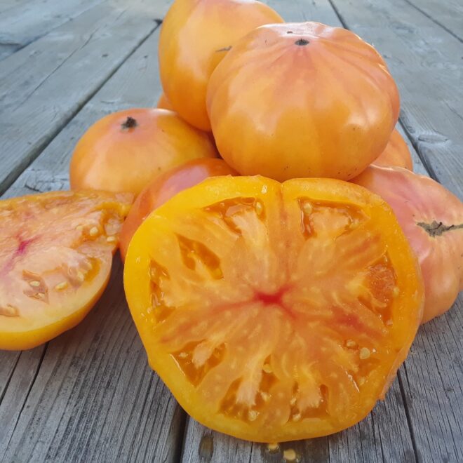 Tomate Ananas
