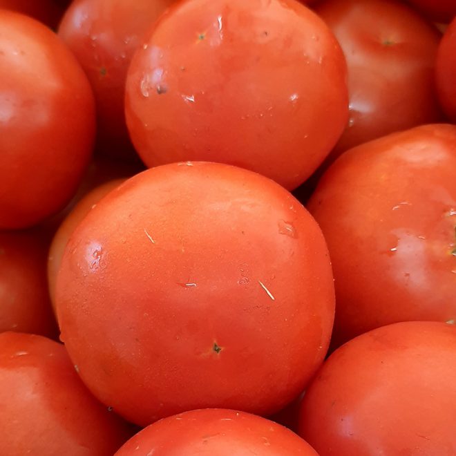 Maraicher local Guérande Légumes fruits tomate ronde gros calibre
