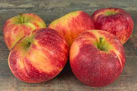 Pomme elstar