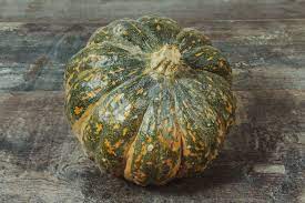 Courge shiatsu
