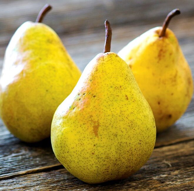 Poire williams