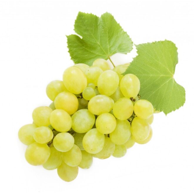 Raisin Italia
