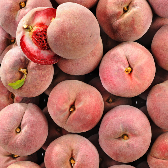 Pêche de vigne