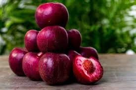 Nectarine de vigne