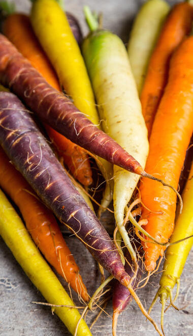 Carottes de couleurs